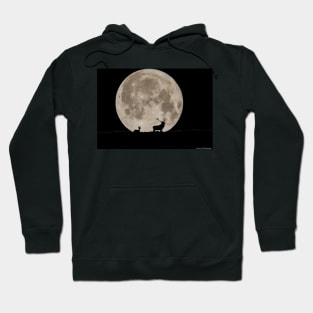 stags by the moon Hoodie